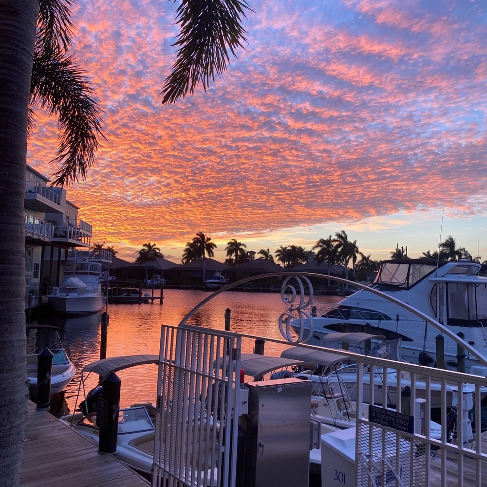 Meet your Posher, Kim